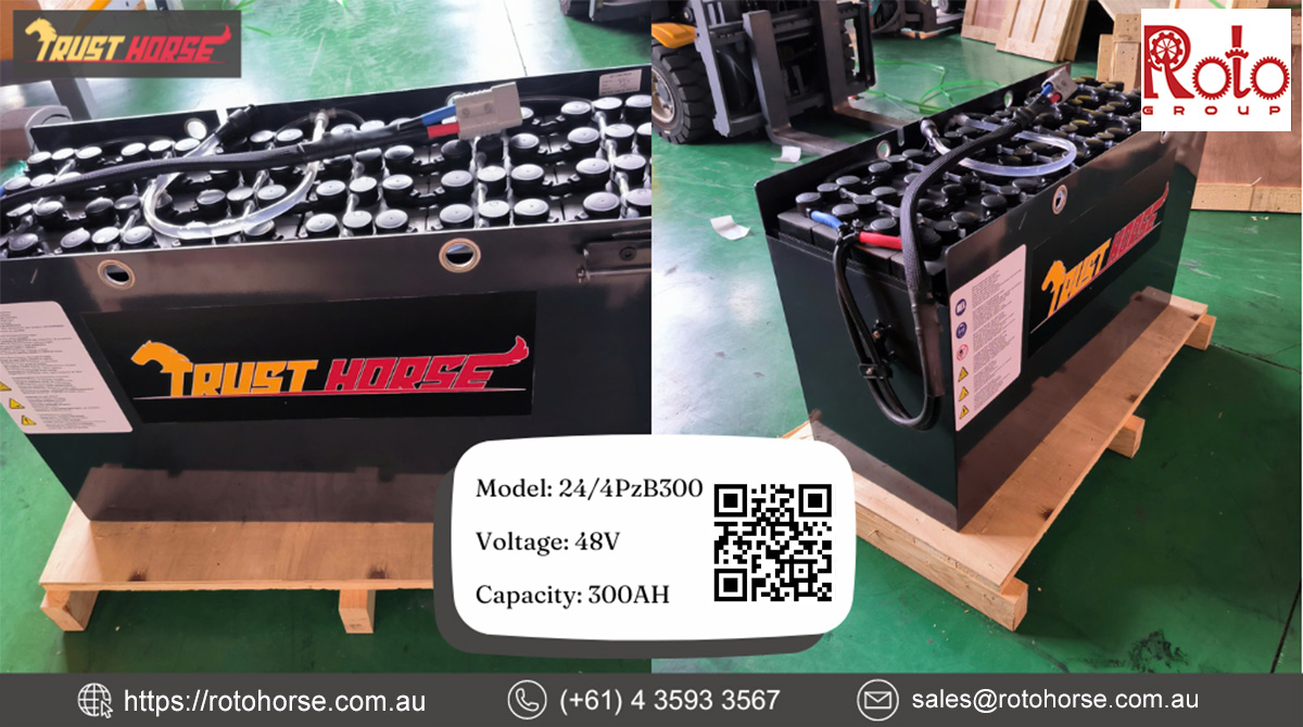 Trust Horse Battery 24/4PzB300