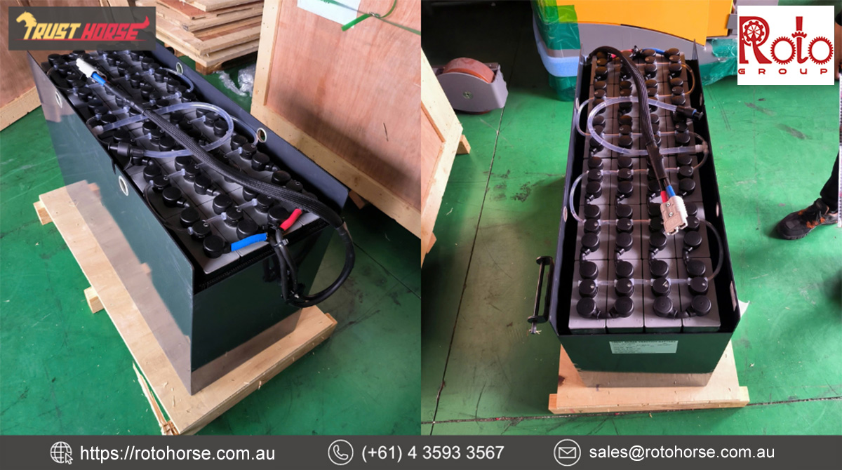 Trust Horse Battery 24/4PzB300